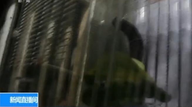 警惕|外来物种邮寄入境增多 违法且影响国家生物安全