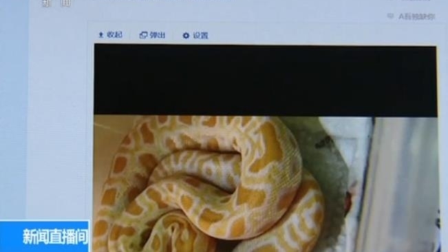 警惕|外来物种邮寄入境增多 违法且影响国家生物安全