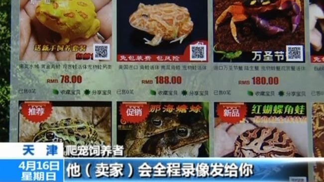 警惕|外来物种邮寄入境增多 违法且影响国家生物安全