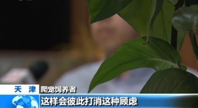 警惕|外来物种邮寄入境增多 违法且影响国家生物安全