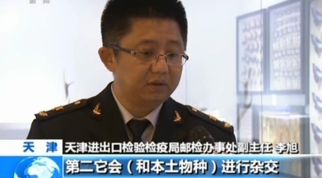 警惕|外来物种邮寄入境增多 违法且影响国家生物安全