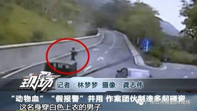 广州职业碰瓷者：人为制造车祸，把动物血涂脸上