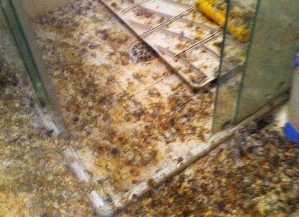 男子离家三个月后，一进屋子瞬间傻眼了，每个家庭都要小心防范！