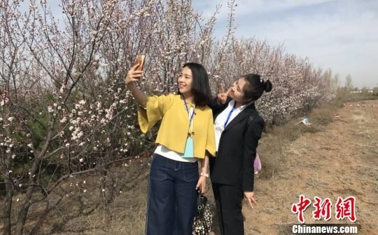 中国漫瀚调之乡杏花节开幕 浩瀚花海万人赏