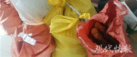 男子帮“偷狗贼”开车运狗 狗肉和现金作报酬