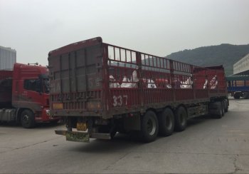 一醉酒司机撞人，狠心见死不救，事后发现发现真相抱着痛哭！