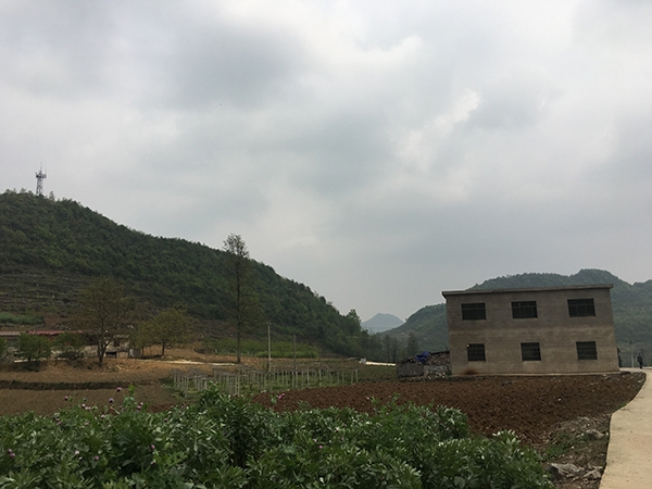 被错认的卖唱残疾女：这几天不想出 或将不再卖唱