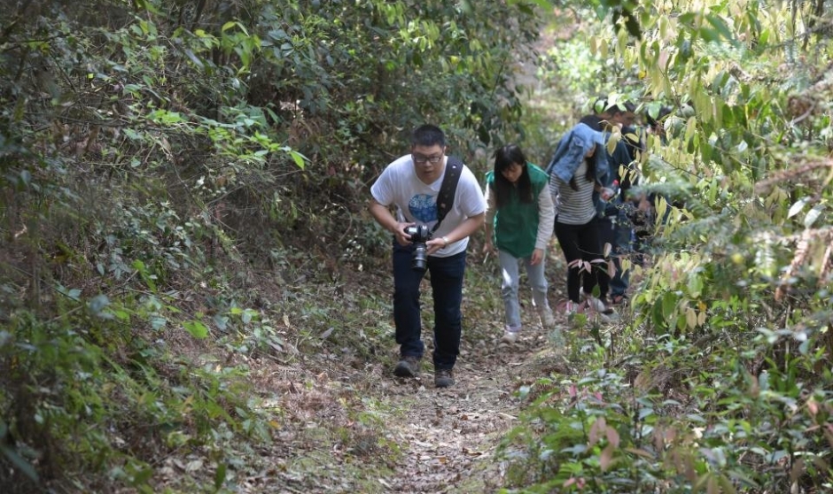 寻找穿山甲——湖南志愿者在野外开展调查活动