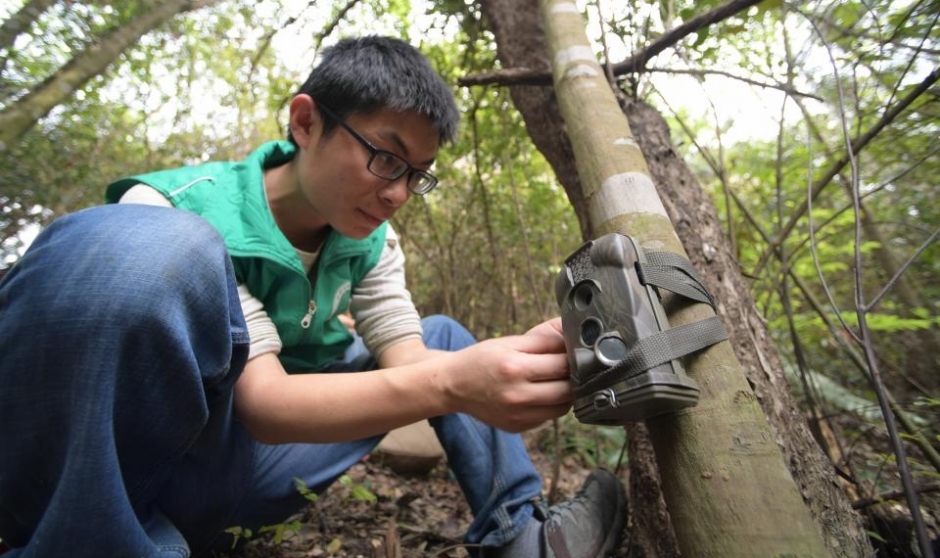 寻找穿山甲——湖南志愿者在野外开展调查活动
