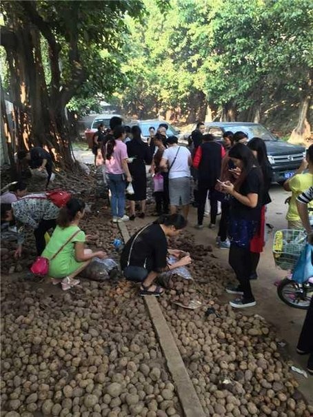 市民一夜买光32吨土豆 只为让他早点回家