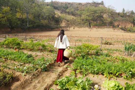 80后美女舍弃城里豪宅 回农村种地